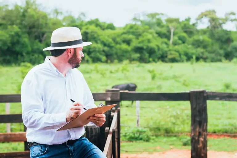 Supply Chain no agronegócio: combinação de tecnologia e habilidades humanas é fundamental para o futuro do setor